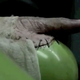 Image for article titled Google's Android Robot Goes Under a Gross Surgery for the PSP Phone